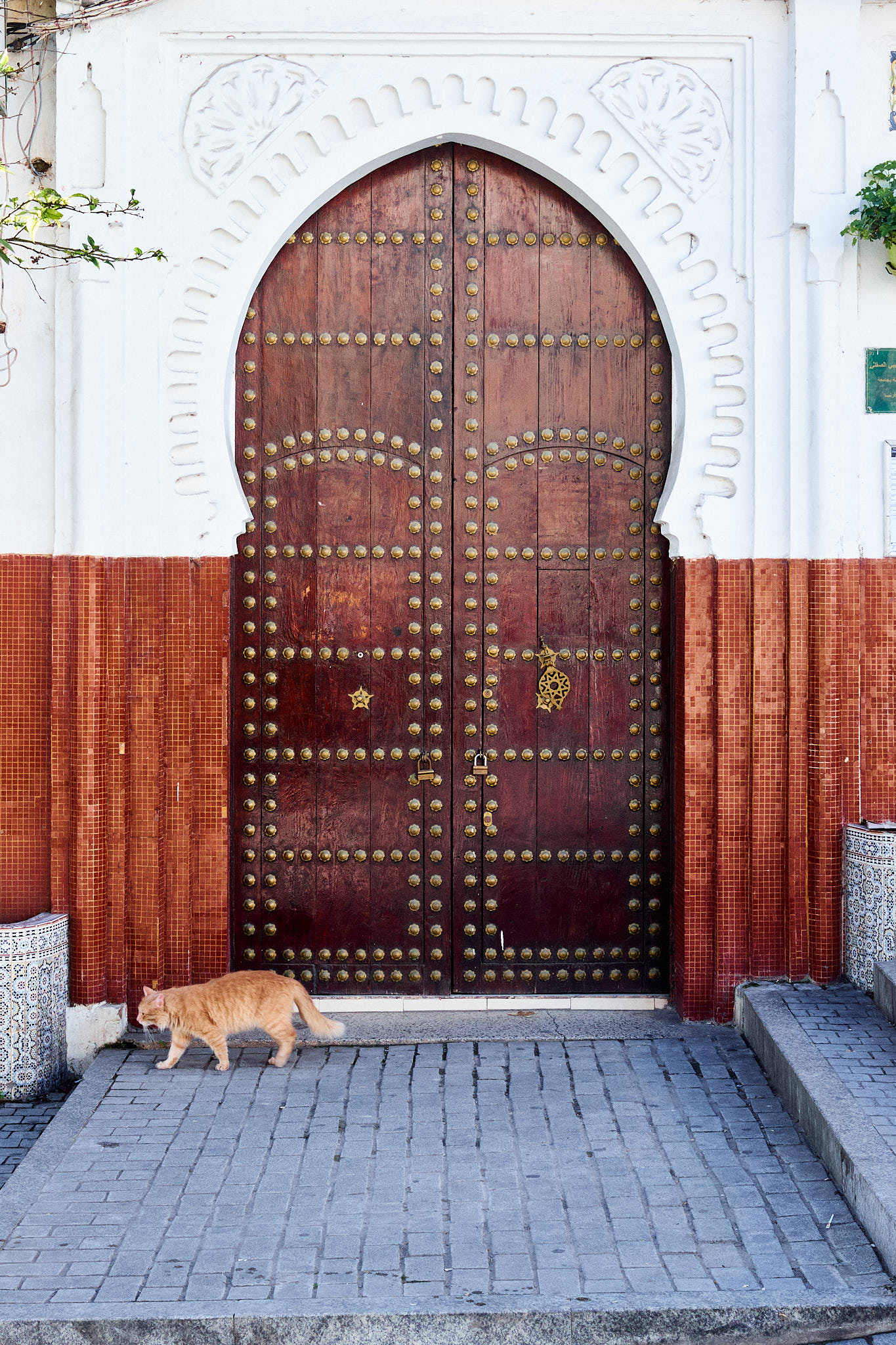 Marokko - Tanger / Morocco - Tanger